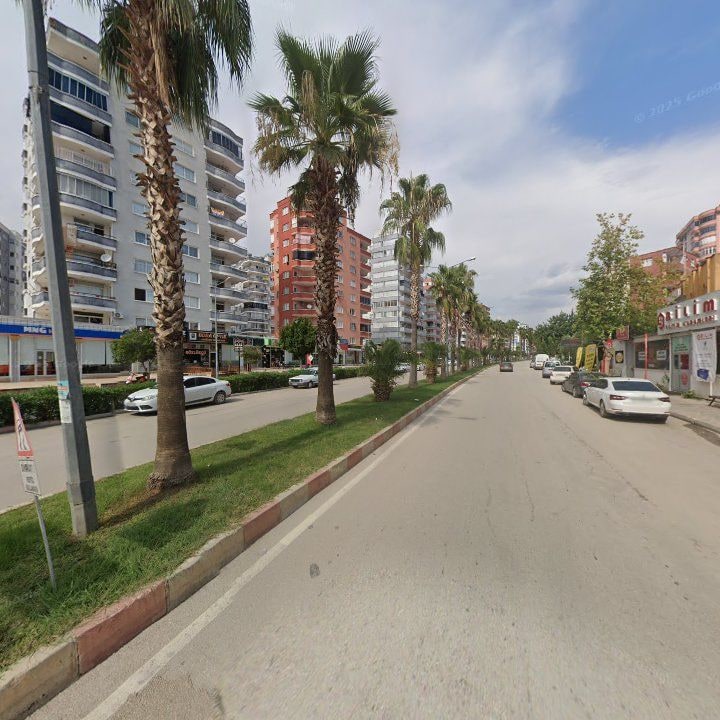 Fotoğraf 10