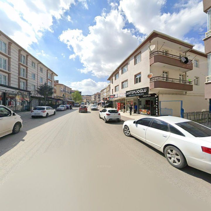 Fotoğraf 9