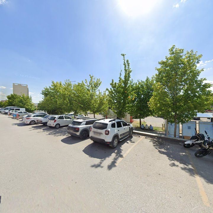 Fotoğraf 8