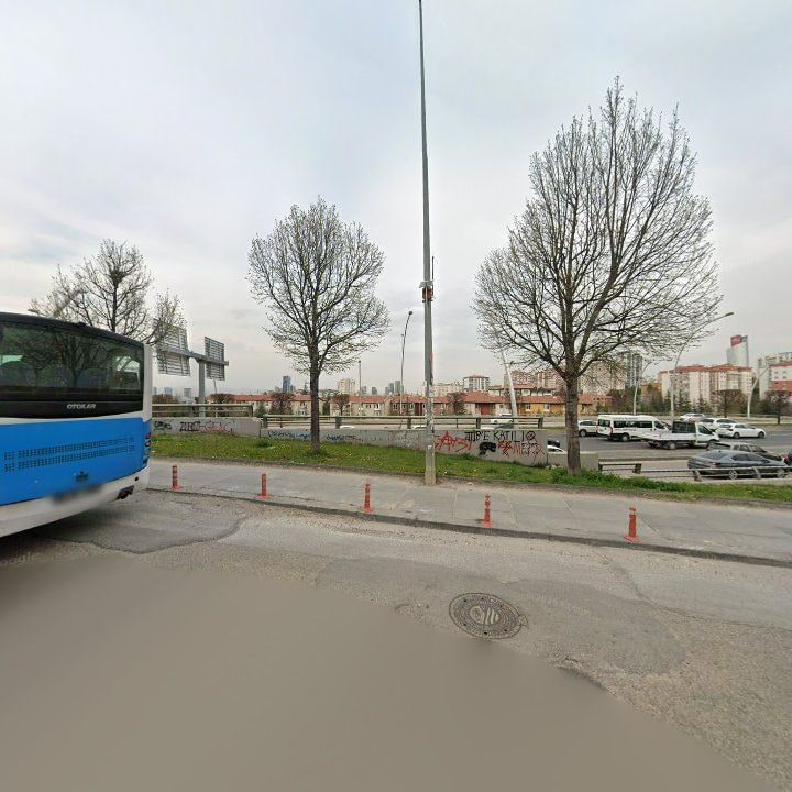 Fotoğraf 11