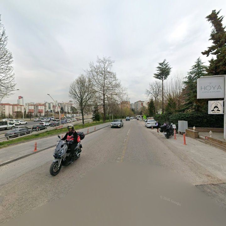 Fotoğraf 12