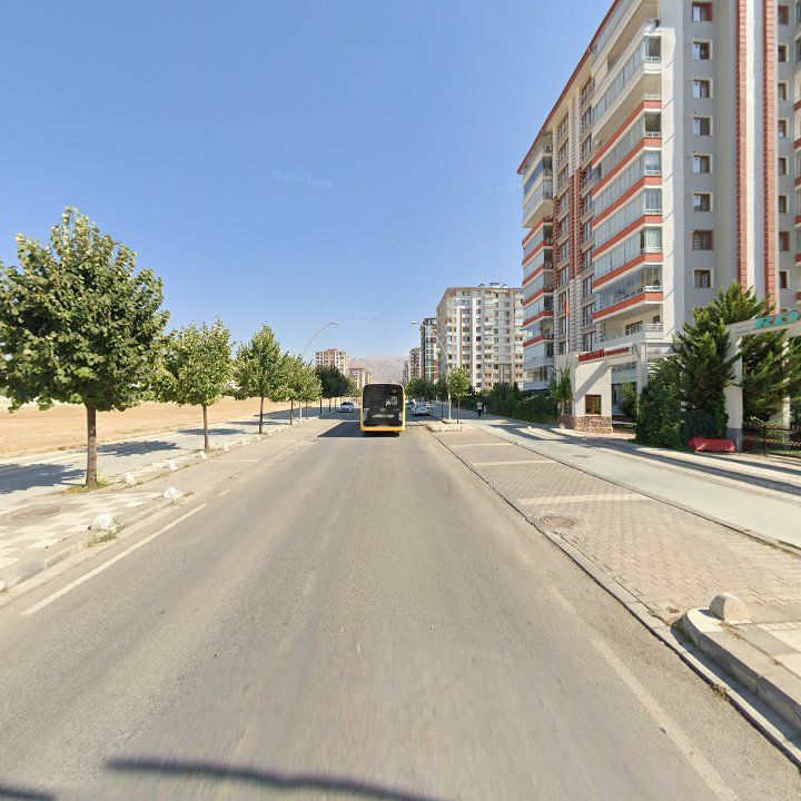 Fotoğraf 11
