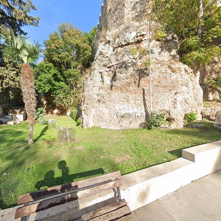 Fotoğraf 6