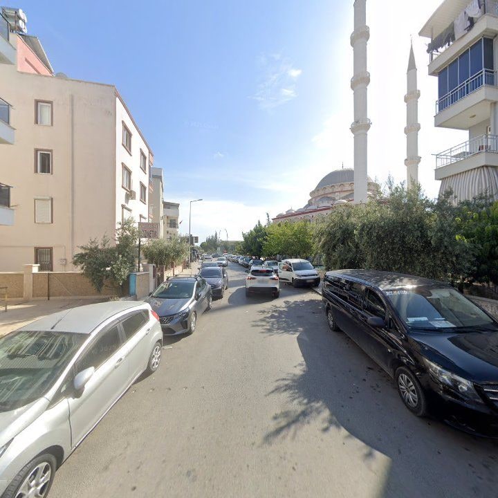 Fotoğraf 6