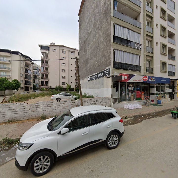 Fotoğraf 6