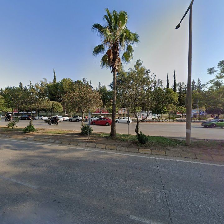 Fotoğraf 9