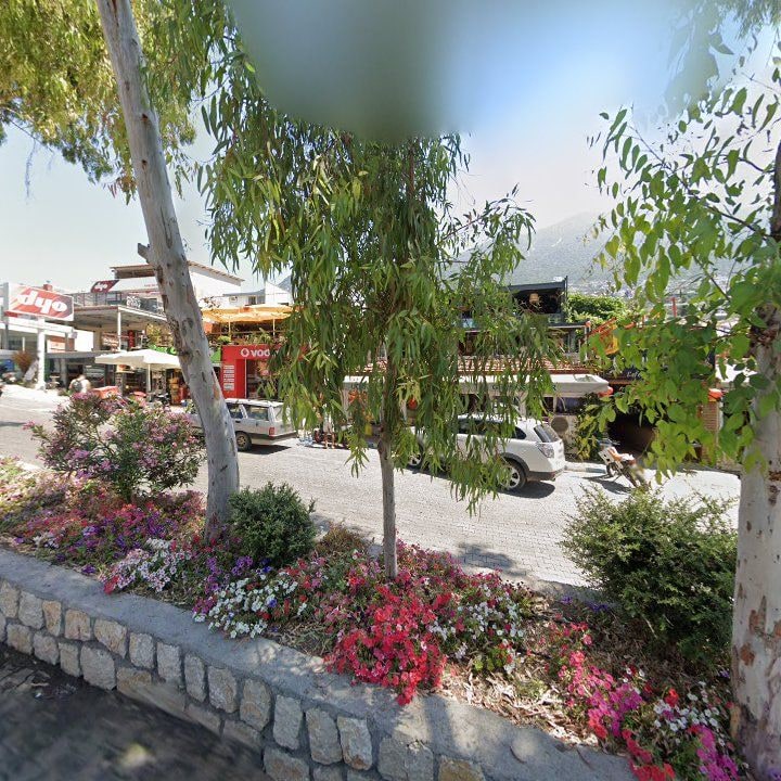 Fotoğraf 12