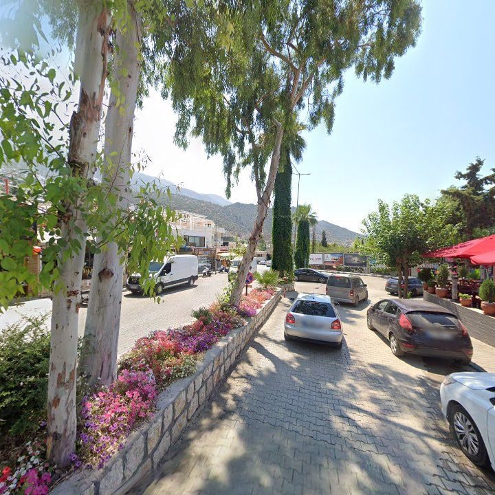 Fotoğraf 13