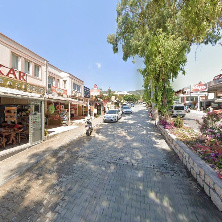 Fotoğraf 11