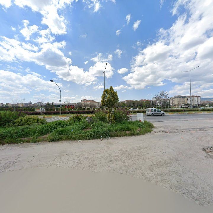 Fotoğraf 8