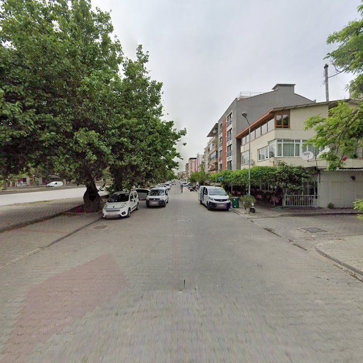 Fotoğraf 9