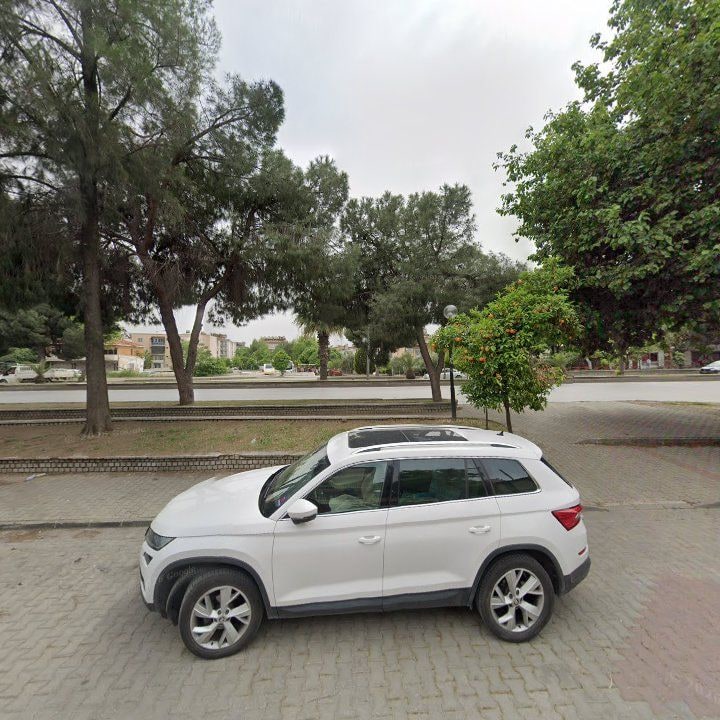 Fotoğraf 8