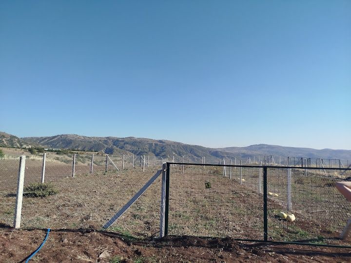 HÜSEYİN YASLI'NIN BAHÇESİ