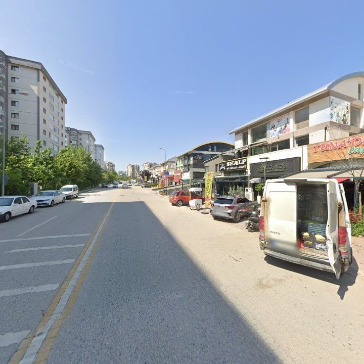 Fotoğraf 8