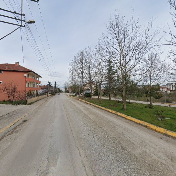 Fotoğraf 13