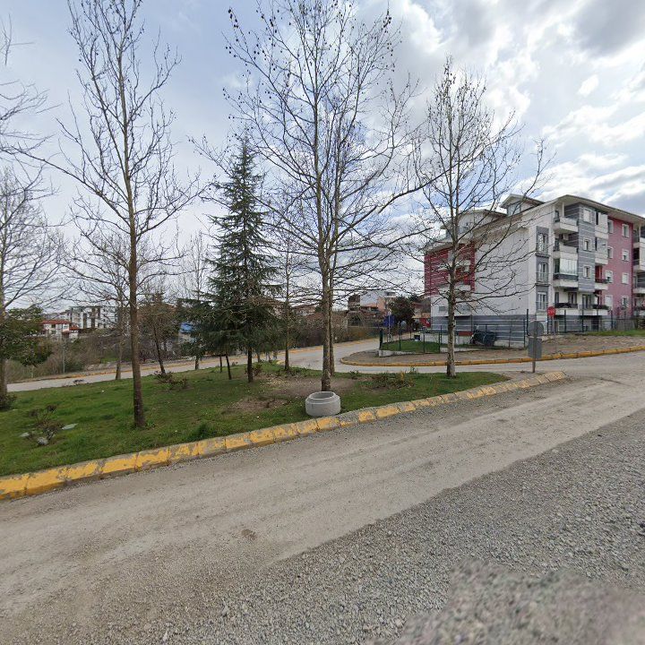 Fotoğraf 14