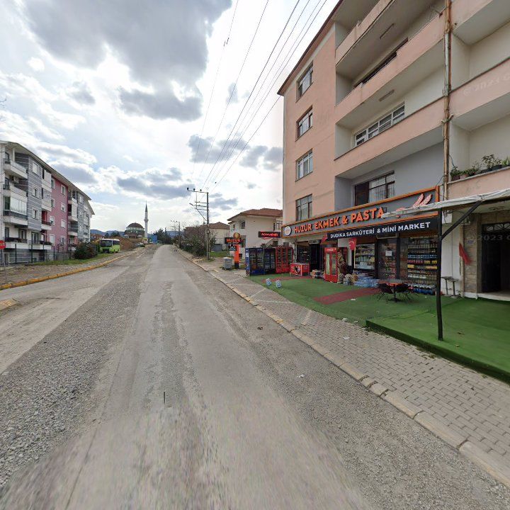Fotoğraf 15
