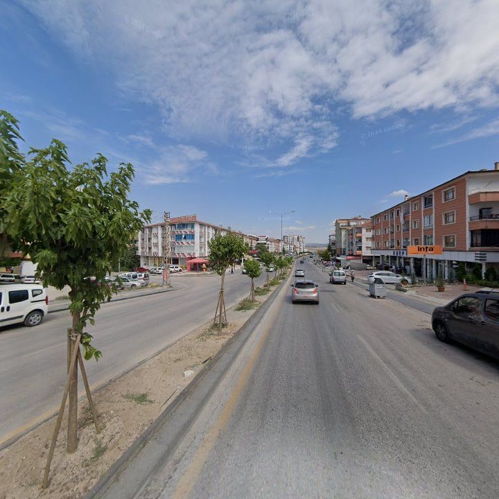 Fotoğraf 12