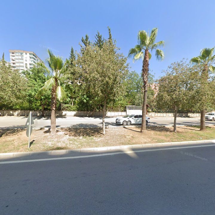 Fotoğraf 9