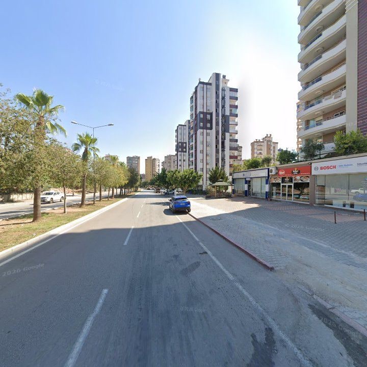 Fotoğraf 10