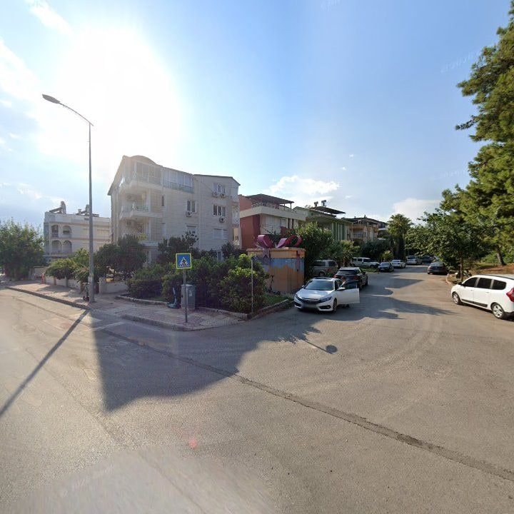 Fotoğraf 16