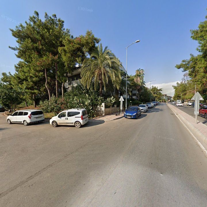 Fotoğraf 17
