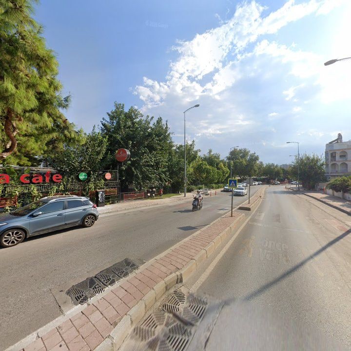 Fotoğraf 15