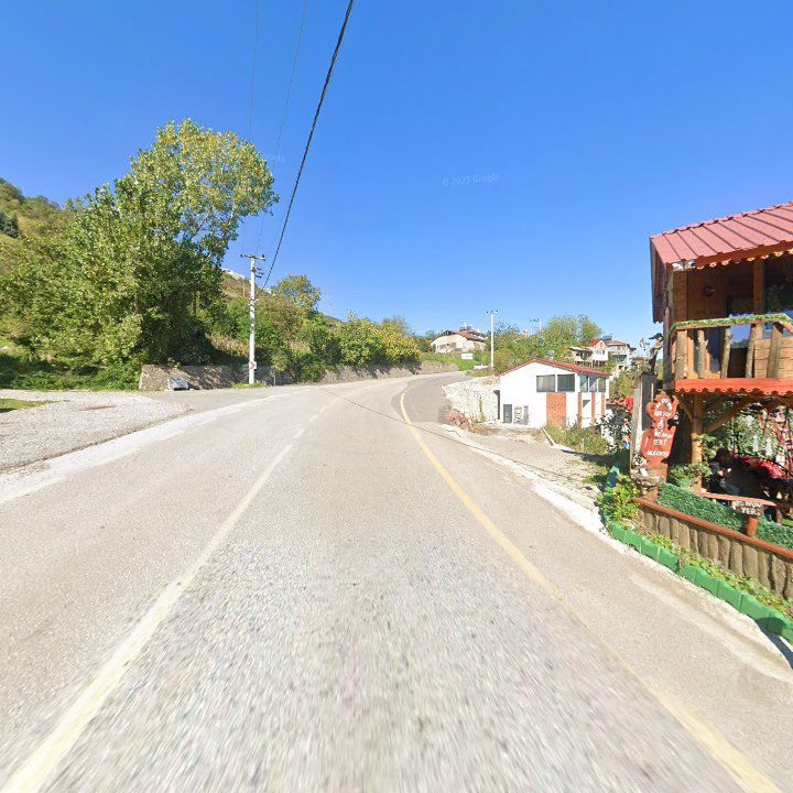 Fotoğraf 12