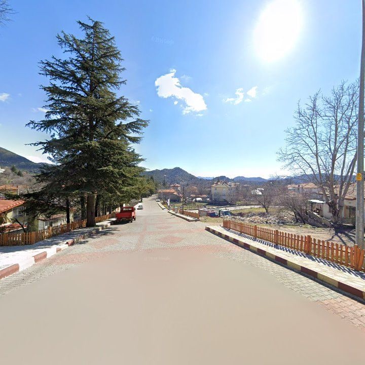 Fotoğraf 8