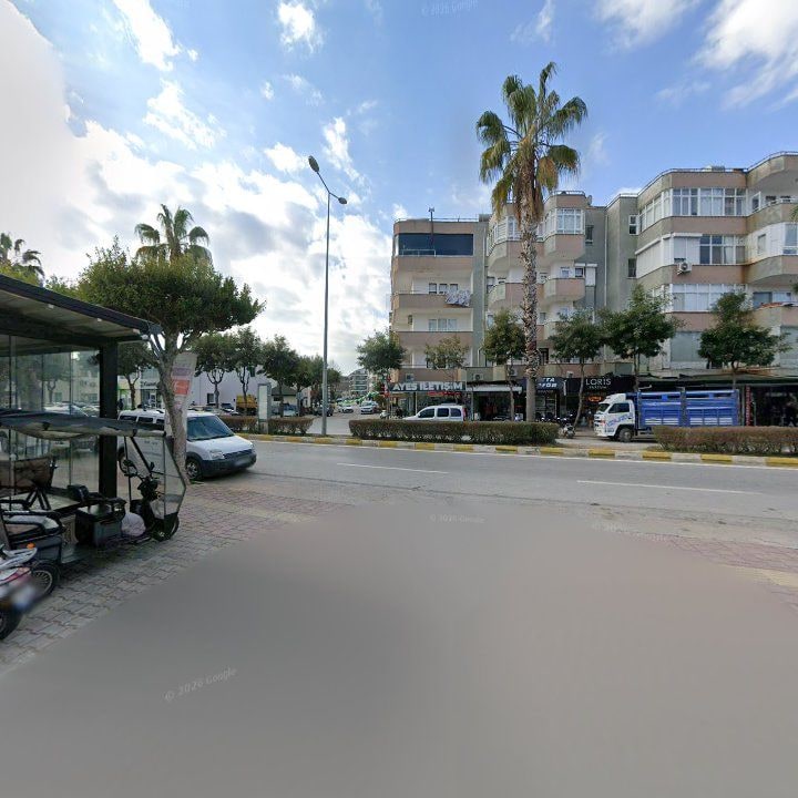 Fotoğraf 3