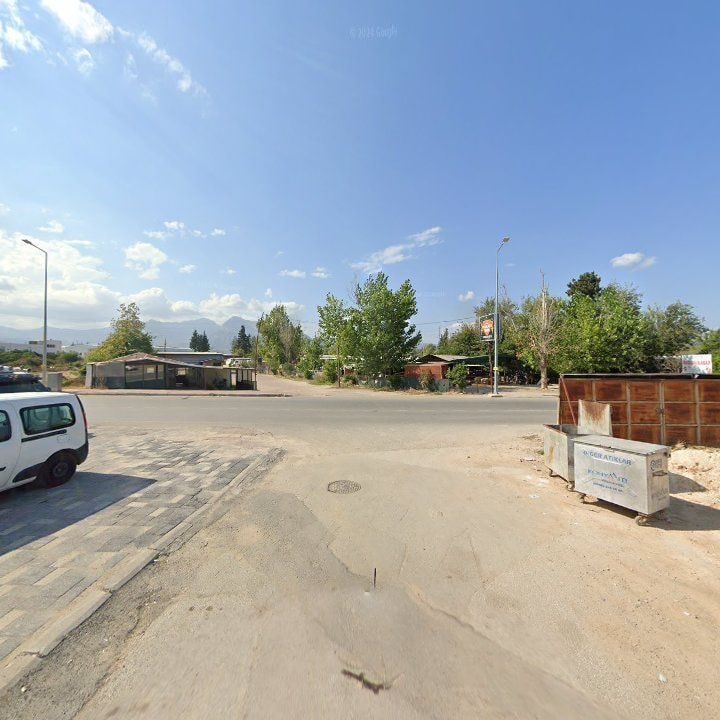 Fotoğraf 9