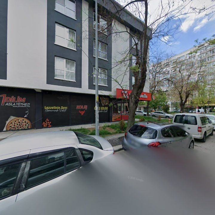 Fotoğraf 12