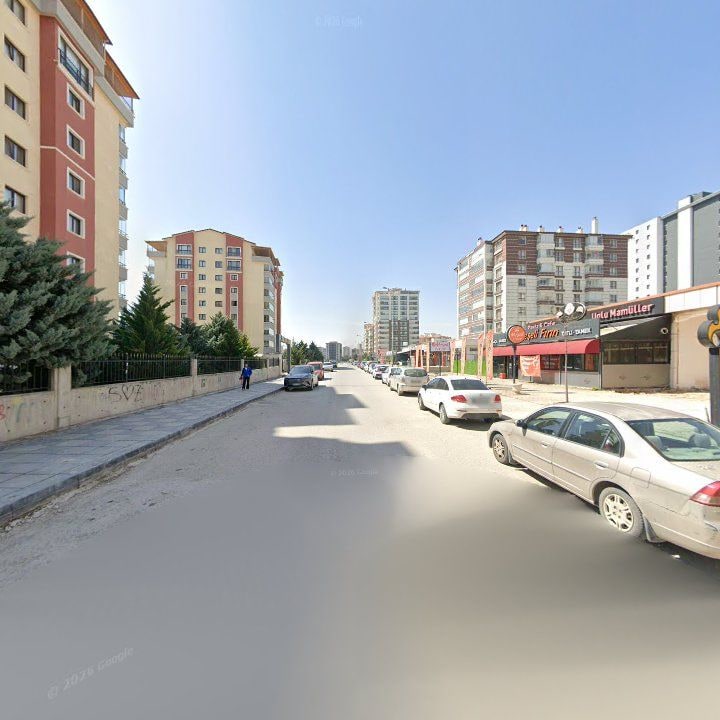 Fotoğraf 8