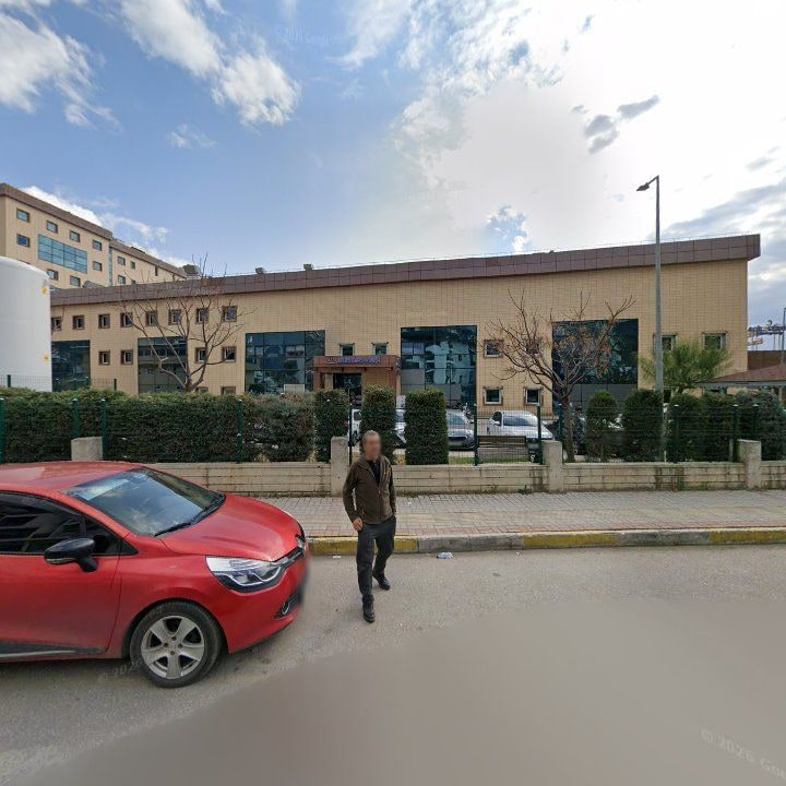 Fotoğraf 6
