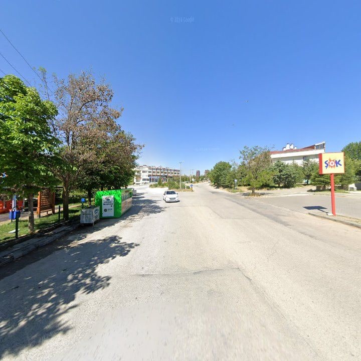 Fotoğraf 8