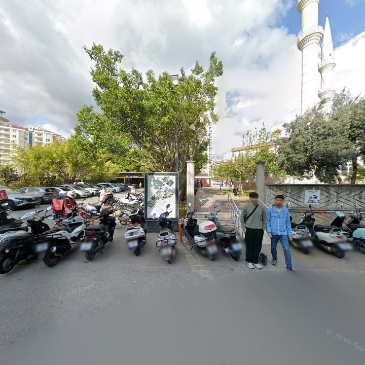 Fotoğraf 10