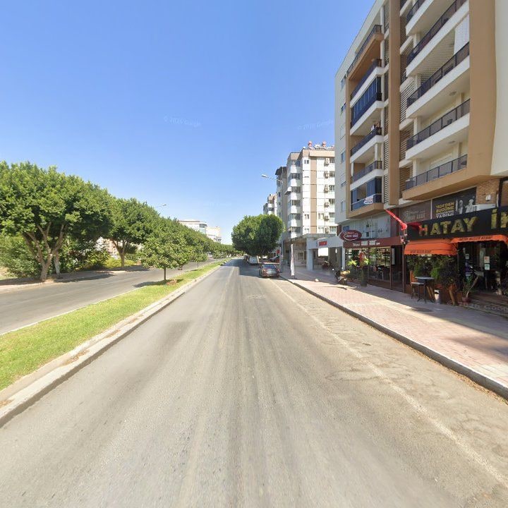 Fotoğraf 12