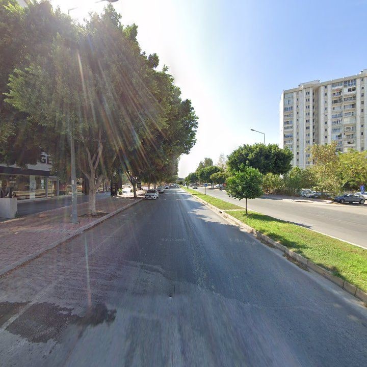 Fotoğraf 10
