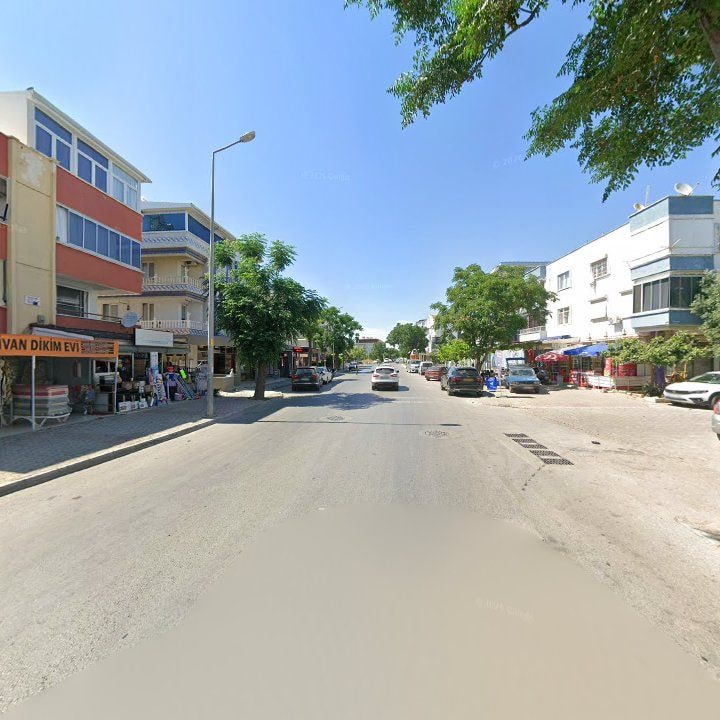 Fotoğraf 9