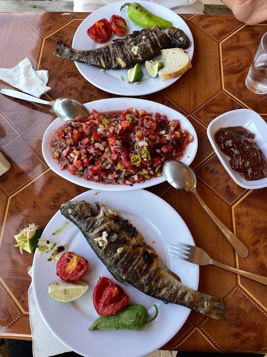 İkizpınar Alabalık Çiftliği