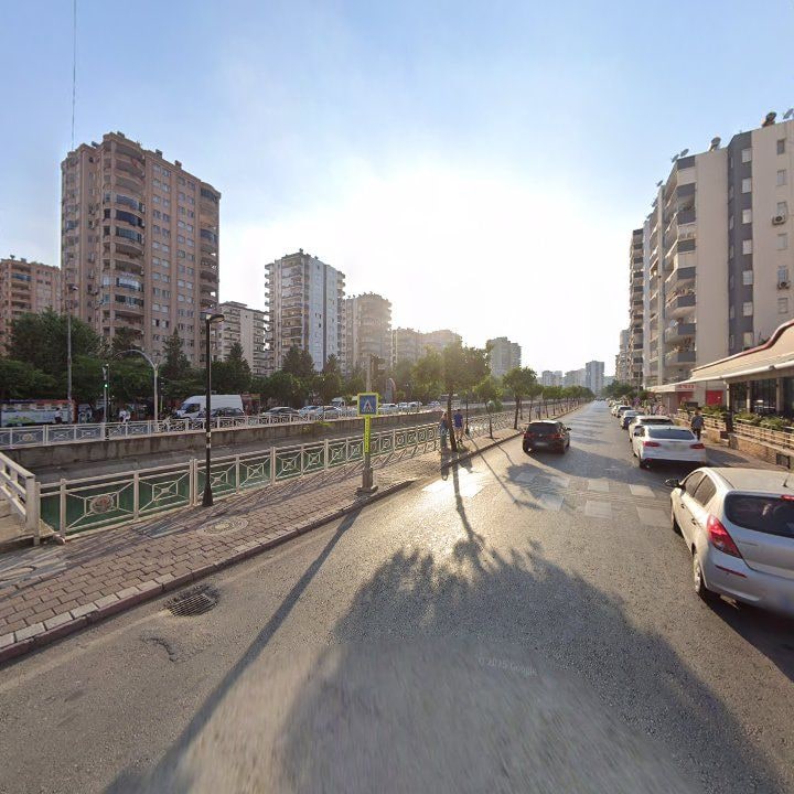 Fotoğraf 12