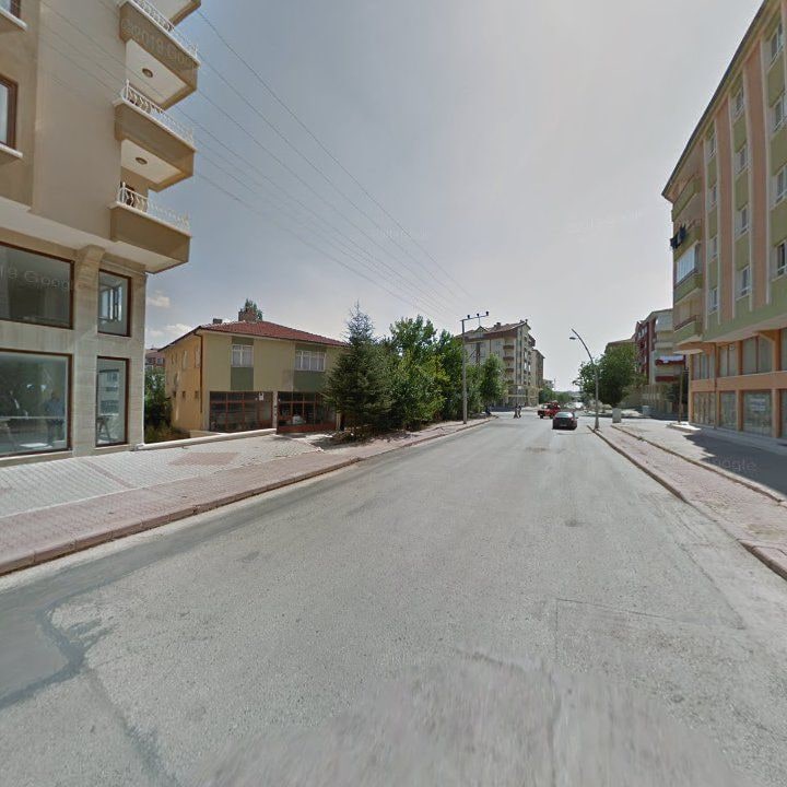 Fotoğraf 12