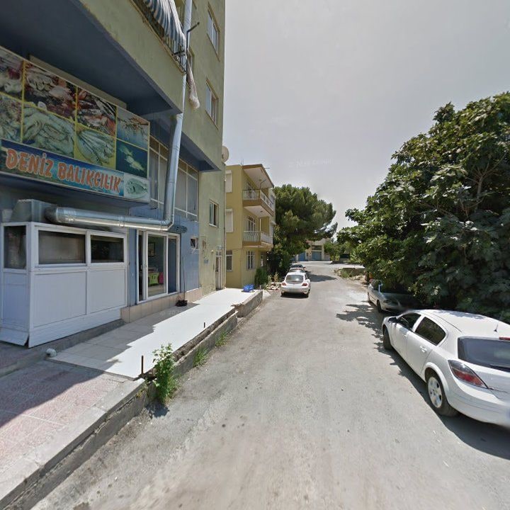 Fotoğraf 5