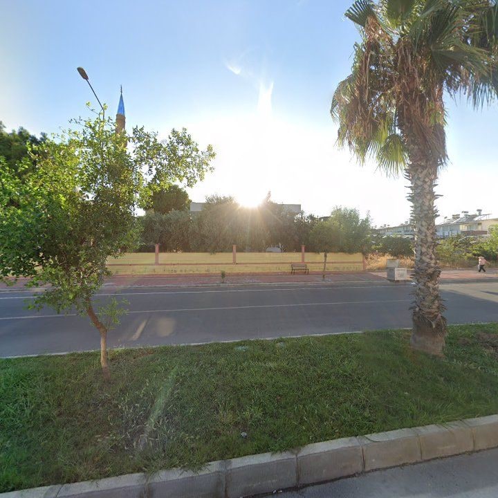 Fotoğraf 9