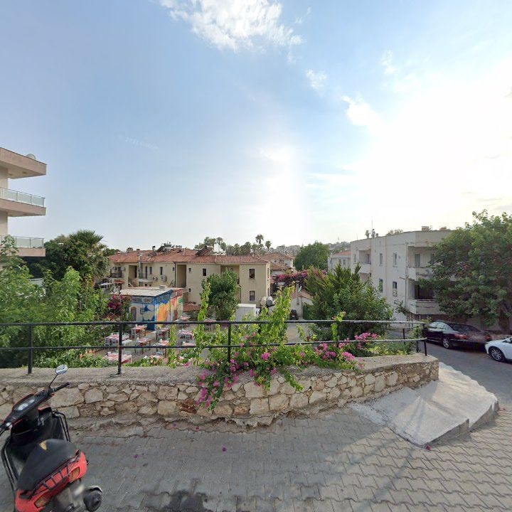 Fotoğraf 11