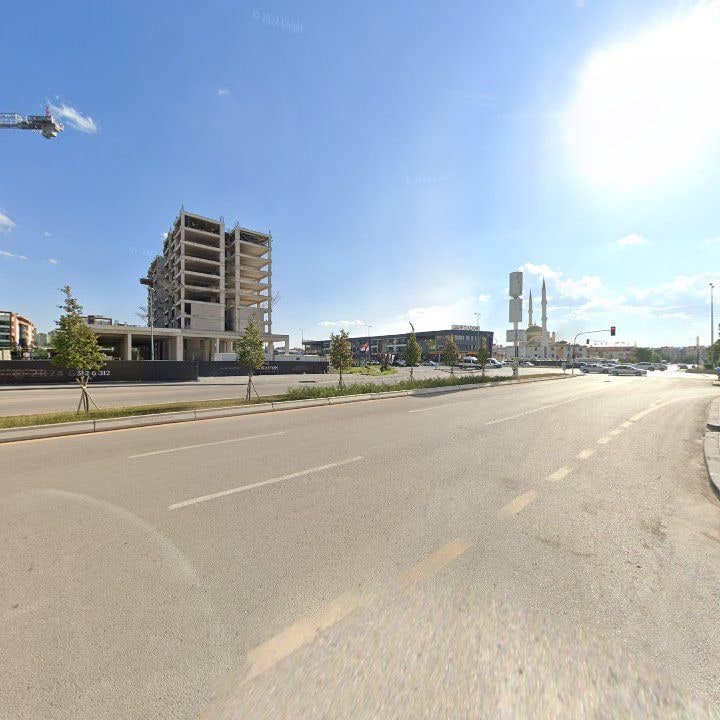 Fotoğraf 11