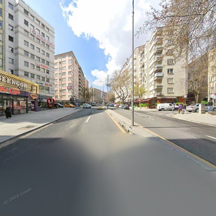 Fotoğraf 12