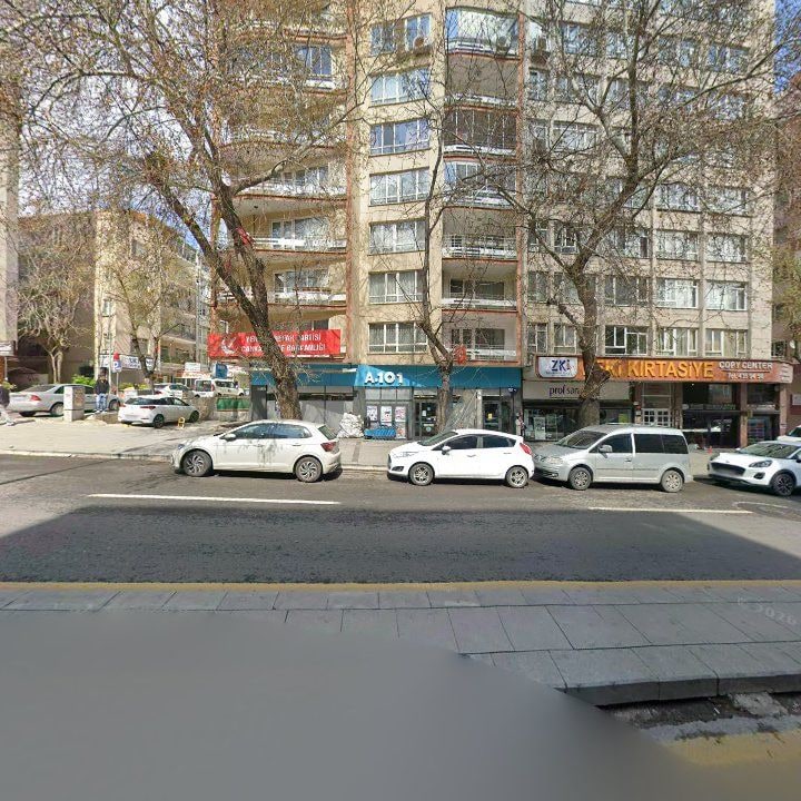 Fotoğraf 13