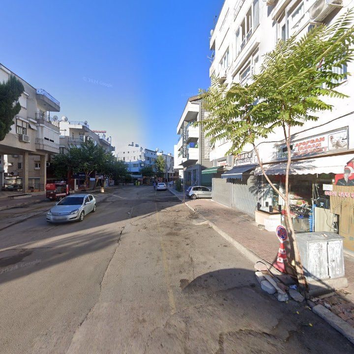 Fotoğraf 7