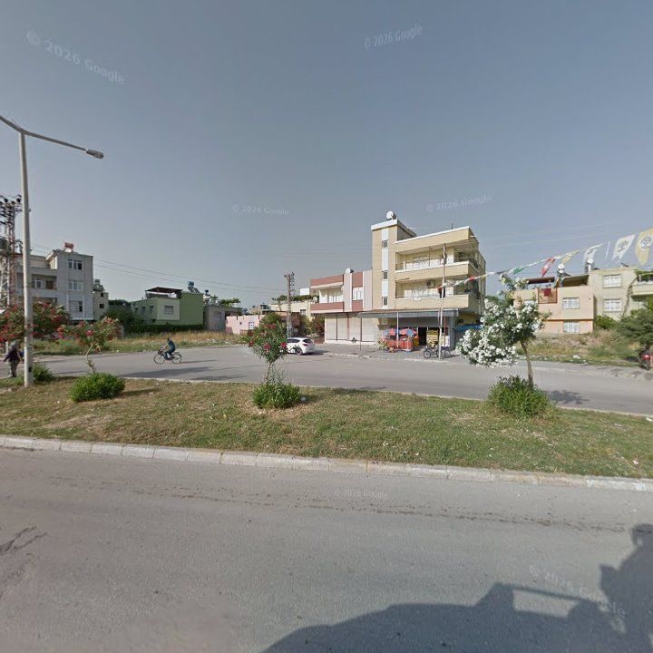 Fotoğraf 4
